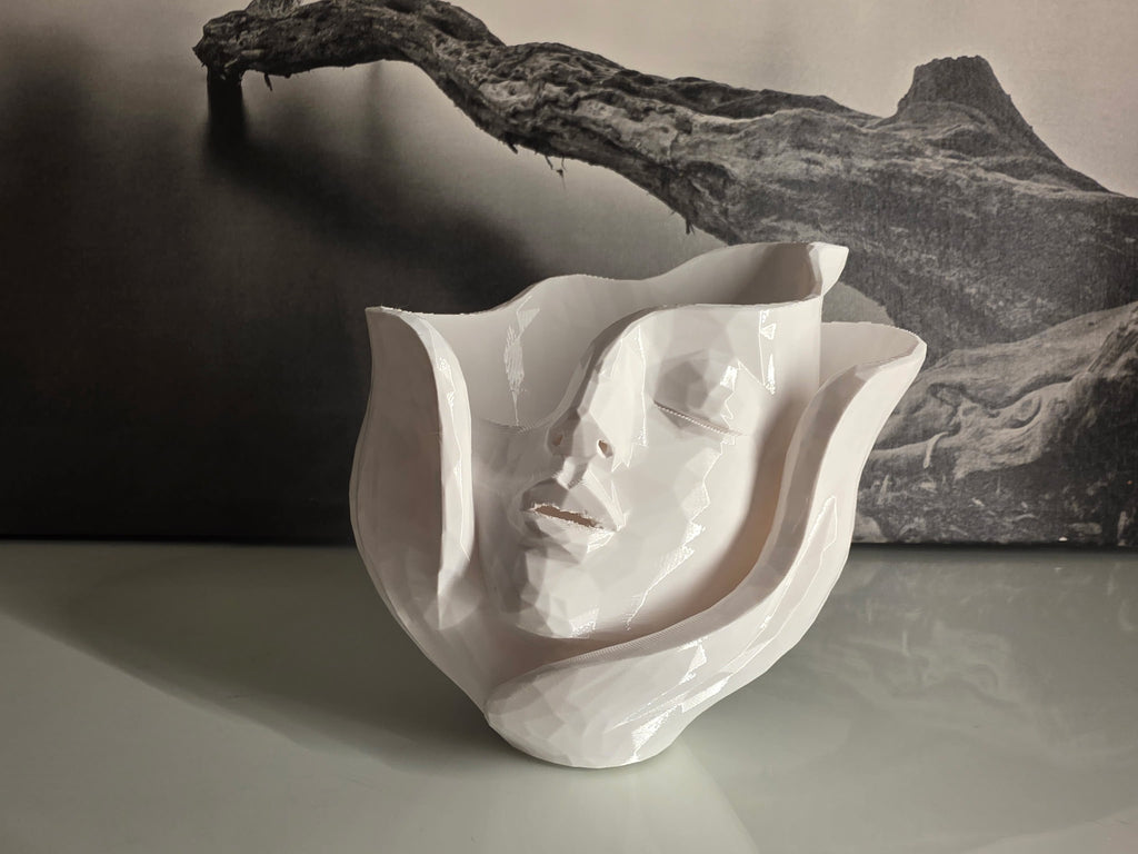 ✨ Modern Abstract Face  Vase ✨