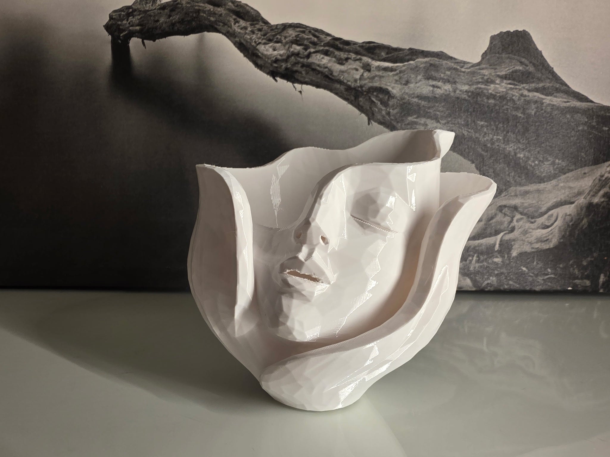 ✨ Modern Abstract Face  Vase ✨