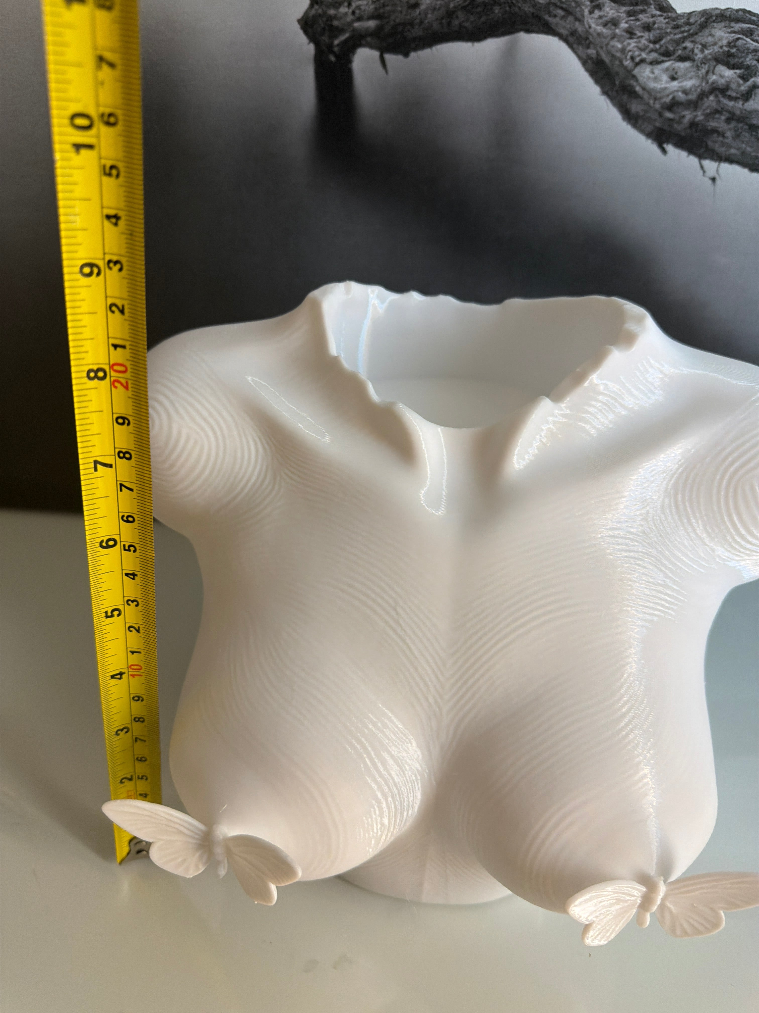 Butterfly Torso Decor