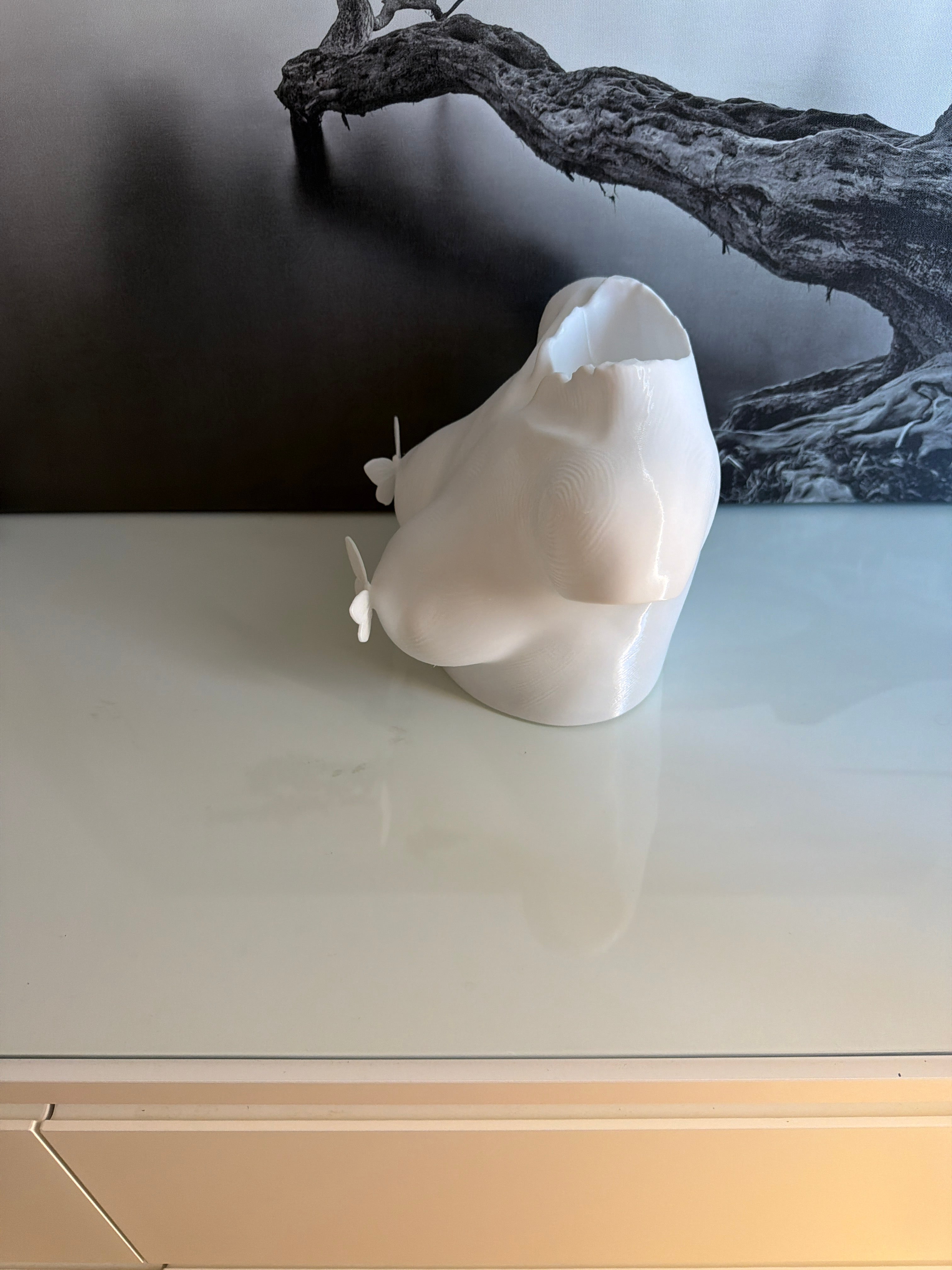Butterfly Torso Decor