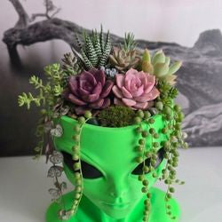 👽 Alien Head Planter / Decor – Unique 3D Print