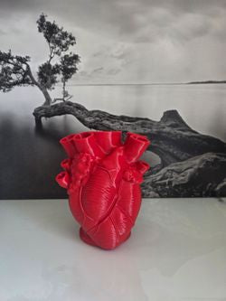 Red Anatomical Heart Vase Unique Decor