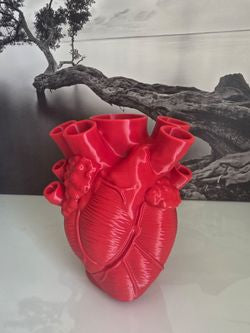 Red Anatomical Heart Vase Unique Decor