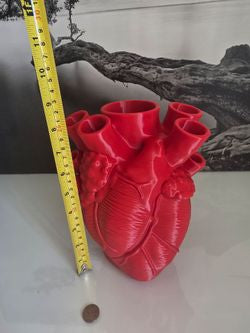 Red Anatomical Heart Vase Unique Decor