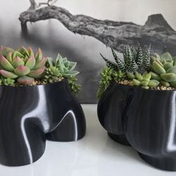 Black Booty Planter Unique Succulent Decor