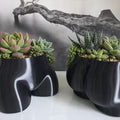 Black Booty Planter Unique Succulent Decor