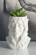 Forest Spirit Planter with small succulent lifestyle photo