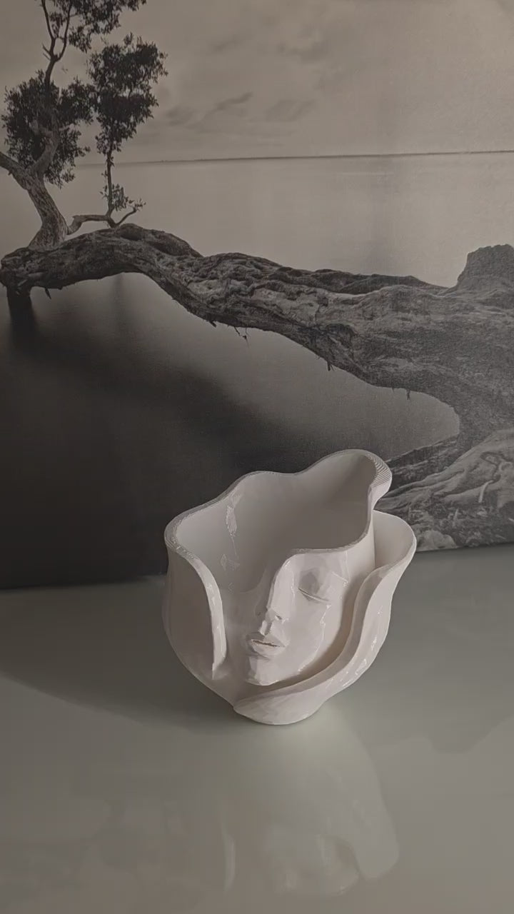 ✨ Modern Abstract Face  Vase ✨